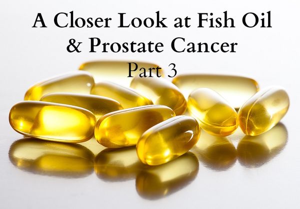 A Closer Look at Fish Oil and Prostate Cancer â Part 3 ...