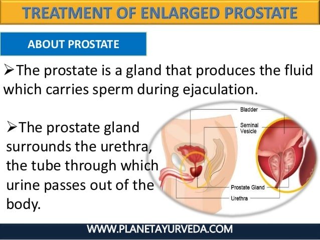 Ayurvedic treatment of enlarged prostate gland