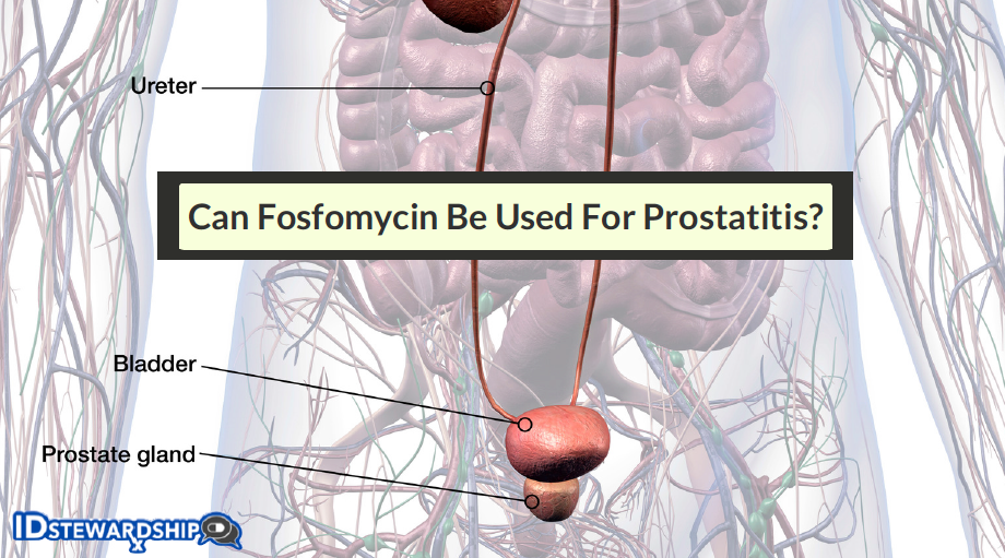 Can Fosfomycin Be Used For Prostatitis?