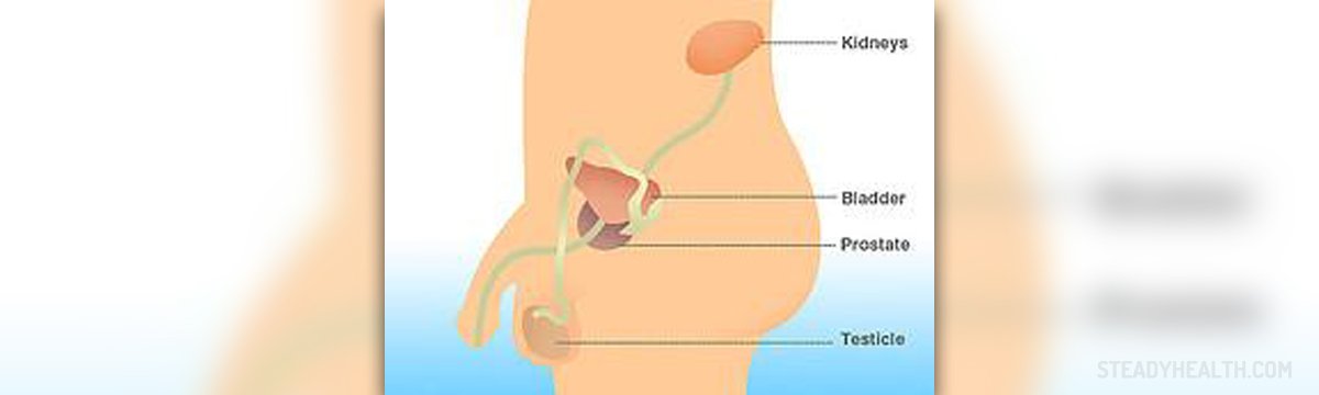 Erectile dysfunction after prostatectomy
