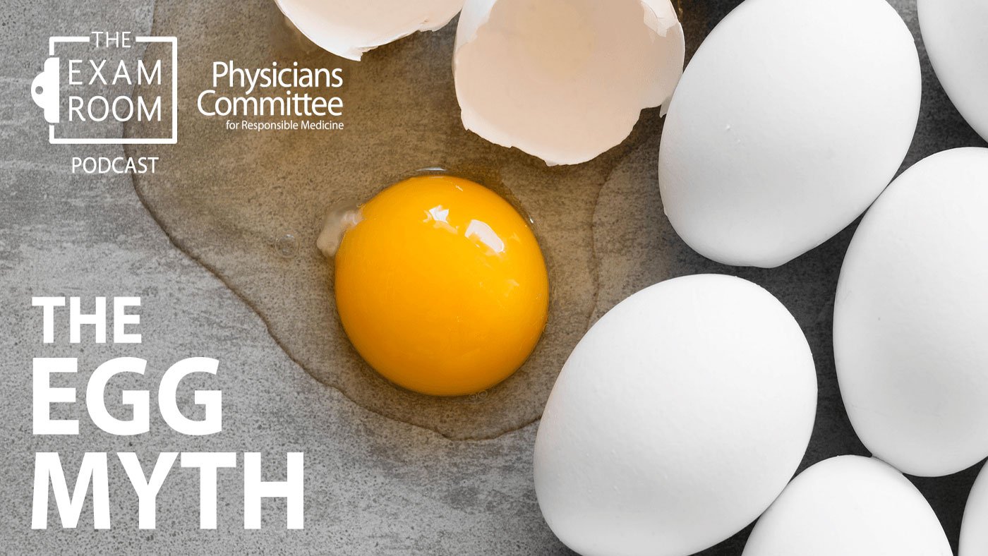 Health Concerns with Eggs