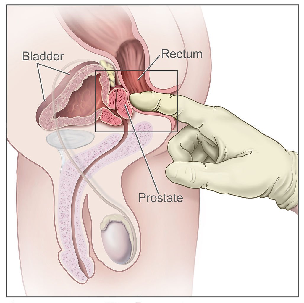 Men Prostate And Ejaculation