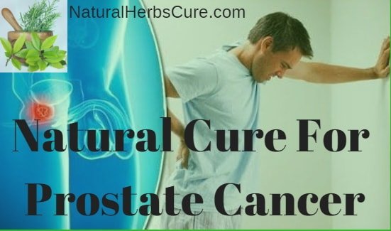 Natural Cure &  Treatment For Prostate Cancer. How To Cure ...
