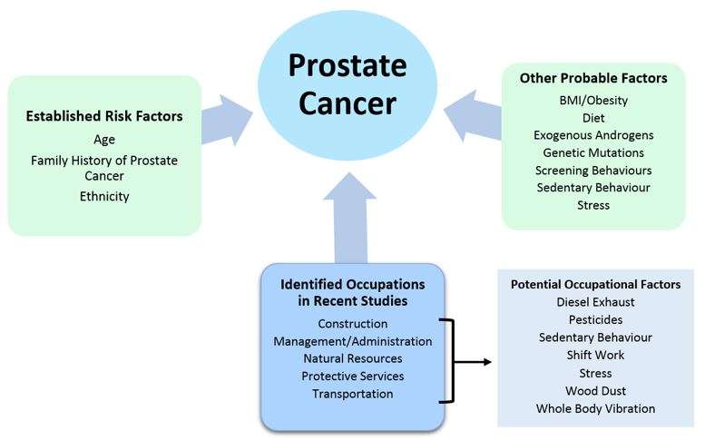 Occupation related to prostate cancer risk in Canadian men