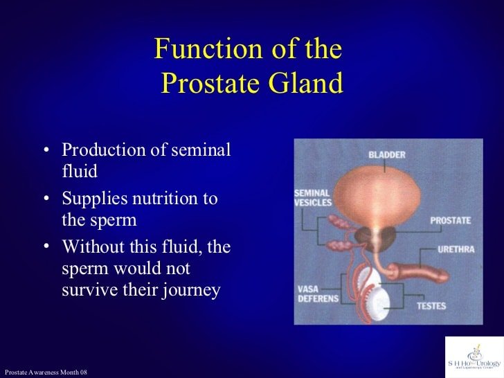 Prostate Cancer or Not