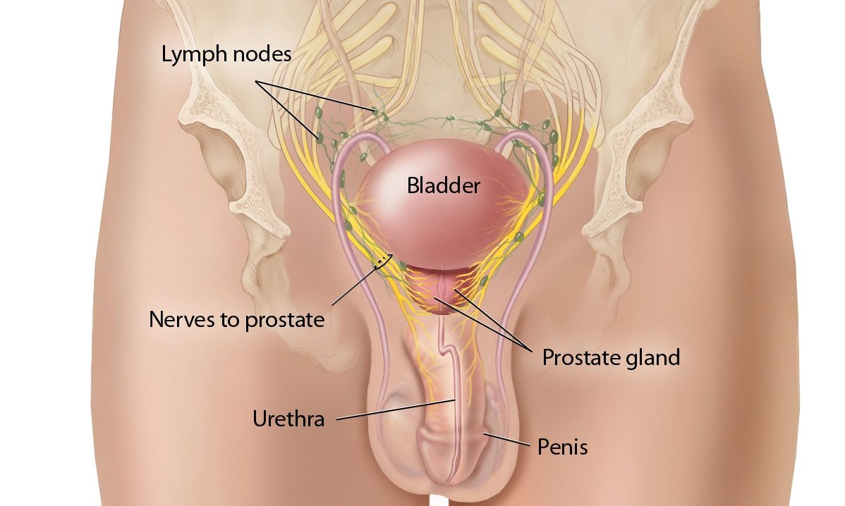 Prostate infection symptoms