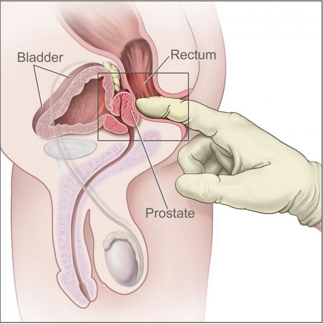 Prostate Stimulation 101: Milk Your Prostate To The ...