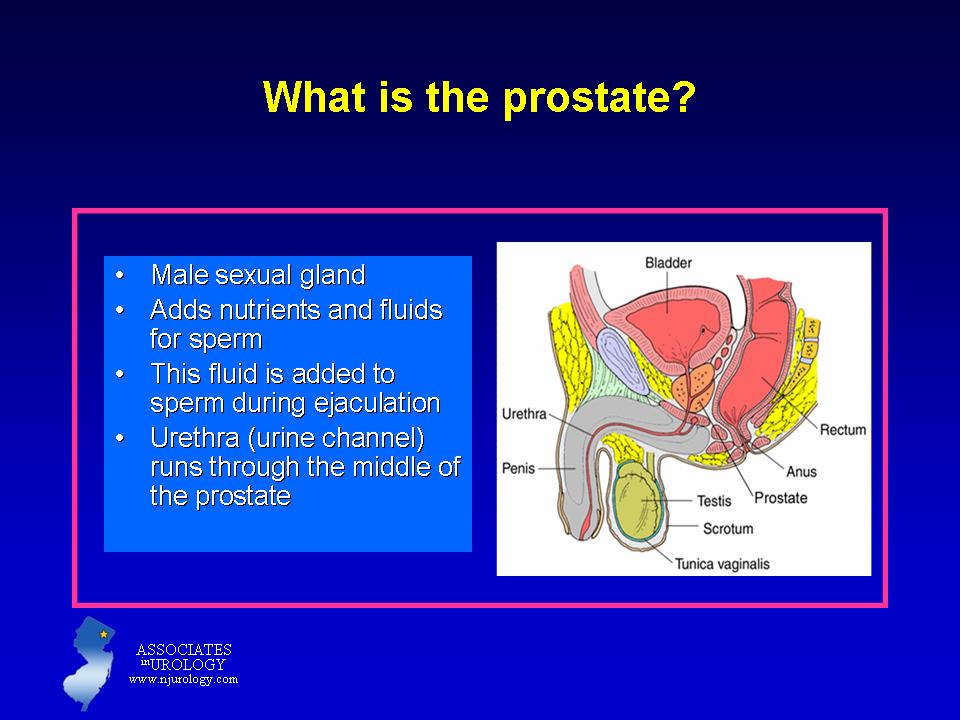 Sexual life after prostate removal