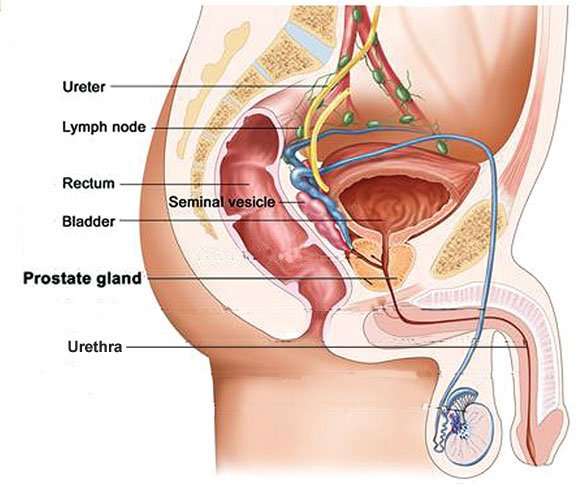Shorties: Prostate cancer test developed