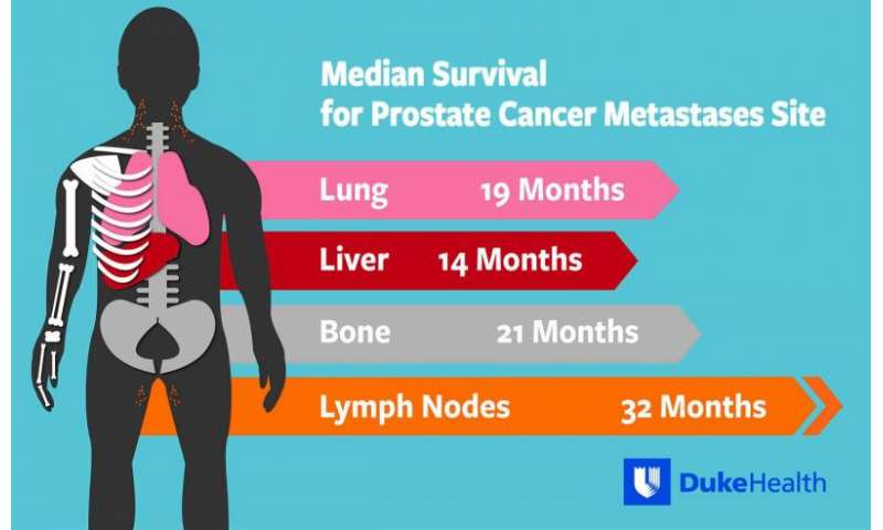 Where prostate cancer spreads in the body affects survival ...